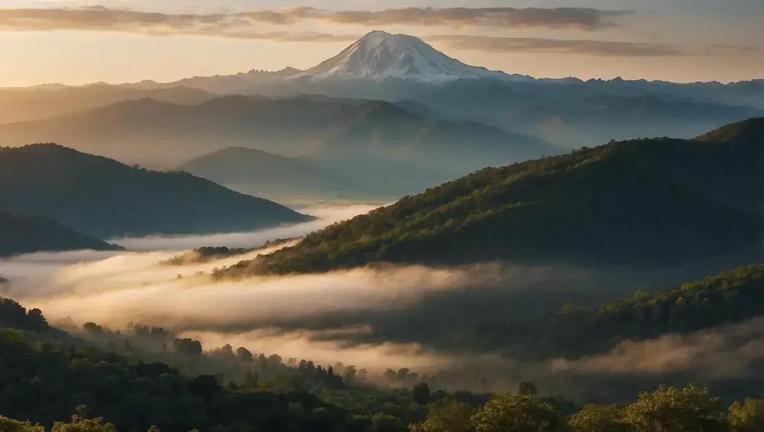Stoic Quotes about Happiness: Finding Joy in Adversity